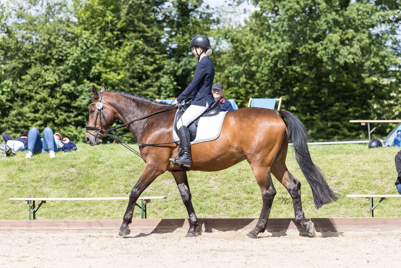 Bild 62 - Pony Akademie Turnier